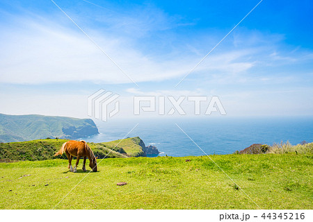 隠岐の島　西ノ島町 44345216