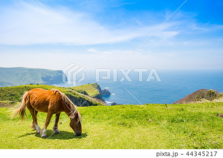 隠岐の島　西ノ島町 44345217