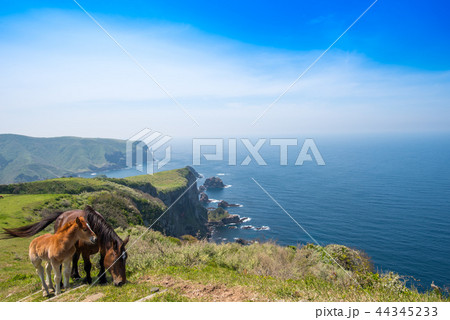隠岐の島　西ノ島町 44345233