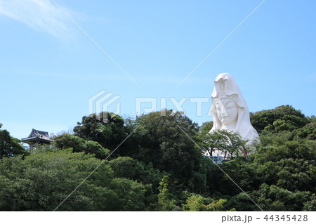 真夏の大船観音 44345428