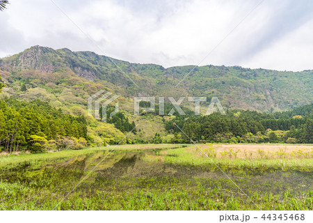 隠岐の島 油井の池 隠岐の島 油井の池 44345468