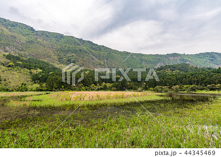 隠岐の島 油井の池 隠岐の島 油井の池 44345469