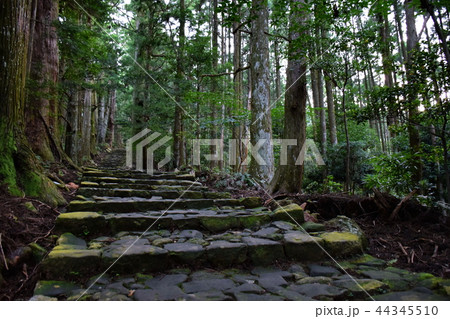 熊野古道　大門坂　那智山　石段 ／ 多富気王子 付近 （ 和歌山県 東牟婁郡 那智勝浦町 ） 44345510