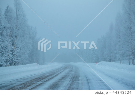 Empty Winter Highway in the Forest Empty Winter Highway in the Forest 44345524