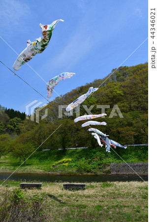 宿河川公園 44346021