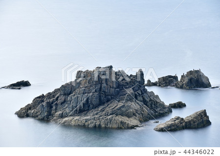 入道崎 44346022