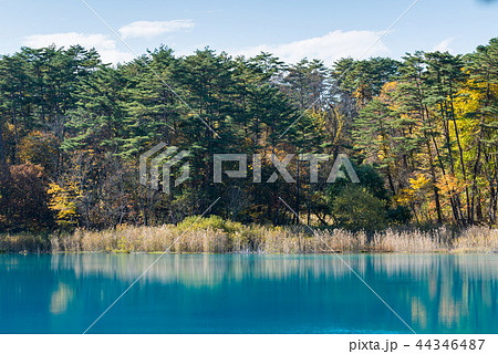 Goshiki-numa Urabandai Fukushima Autumn Japan Goshiki-numa Urabandai Fukushima Autumn Japan 44346487