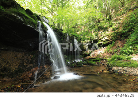 猿壺の滝871 44346529