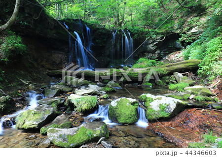 猿壺の滝901 44346603