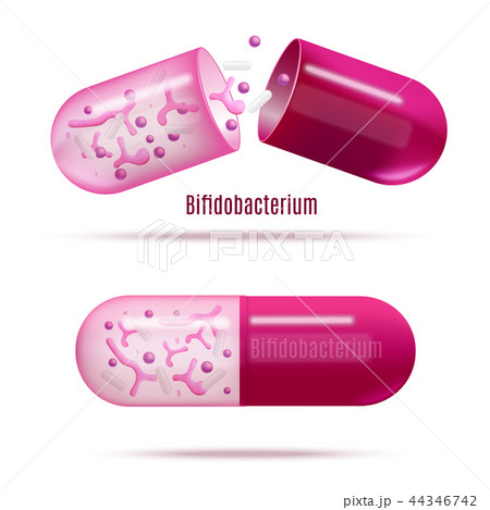Medicines with Probiotic Bacteria Realistic Vector Medicines with Probiotic Bacteria Realistic Vector 44346742