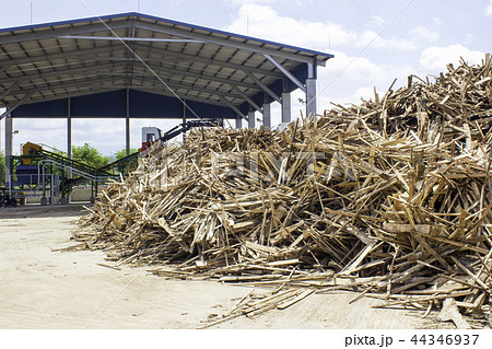 Slob wood and wood chipper building 44346937