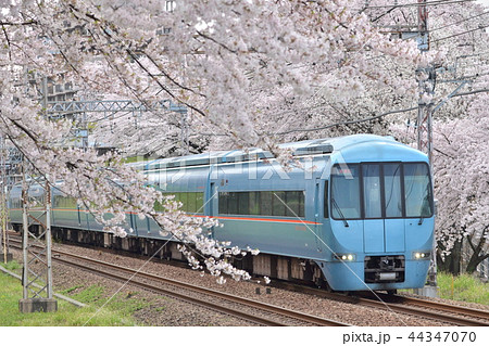 桜並木を往く小田急ロマンスカーmseの写真素材