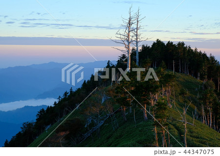 北大台の朝（奈良県吉野郡上北山村） 44347075