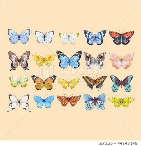 Watercolor butterfly vector set 44347149
