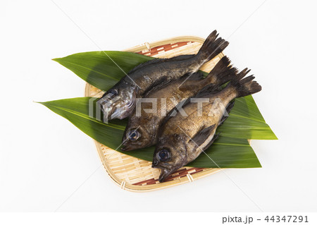 メバルのざる盛り メバルのざる盛り 44347291