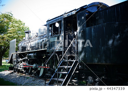 蒸気機関車（C56-94）大町西公園　　大町市 44347339