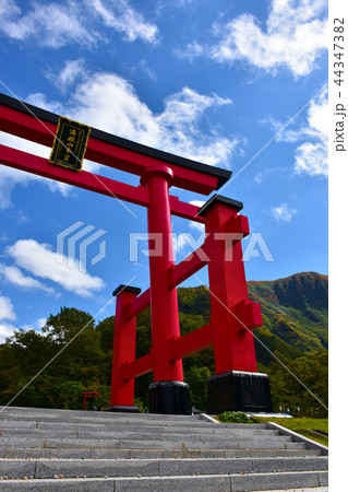 湯殿山神社 大鳥居 44347382