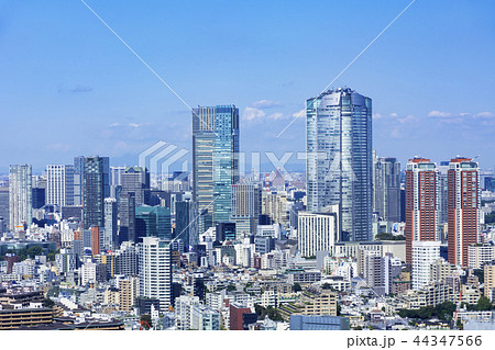 東京 渋谷から六本木ヒルズ、ミッドタウンを望む大都市風景 東京 渋谷から六本木ヒルズ、ミッドタウンを望む大都市風景 44347566
