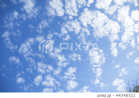 ひつじ雲 ひつじ雲 44348322