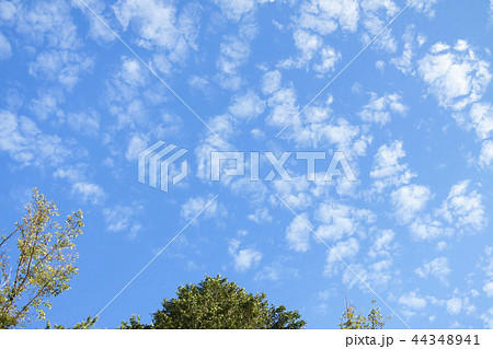 ひつじ雲 44348941