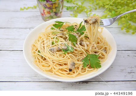 ボンゴレ ボンゴレ 44349196