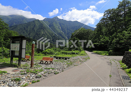 夏の谷川岳 一ノ倉沢から白毛門、笠ヶ岳を見る 44349237