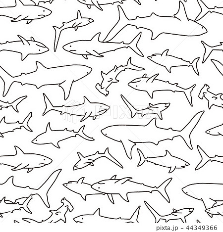 サメのイラスト柄 のイラスト素材
