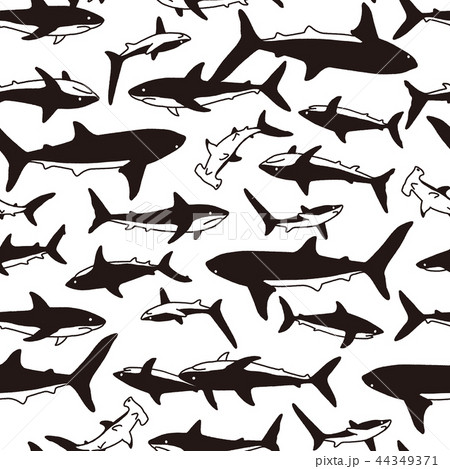 サメのイラスト柄, サメのイラスト柄, 44349371