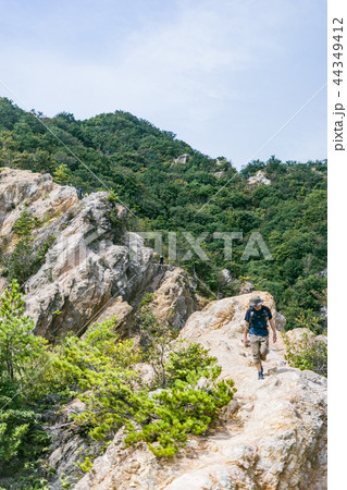 須磨アルプス 馬の背 須磨アルプス 馬の背 44349412