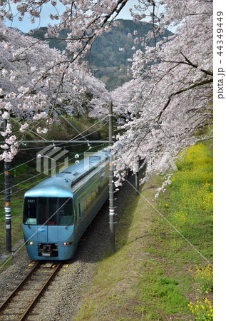 小田急ロマンスカーあさぎり 山北の桜並木を往く 小田急ロマンスカーあさぎり 山北の桜並木を往く 44349449