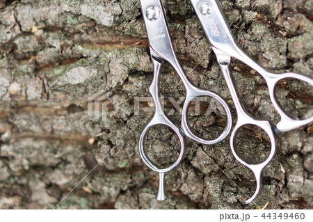 ハサミ　美容師 44349460