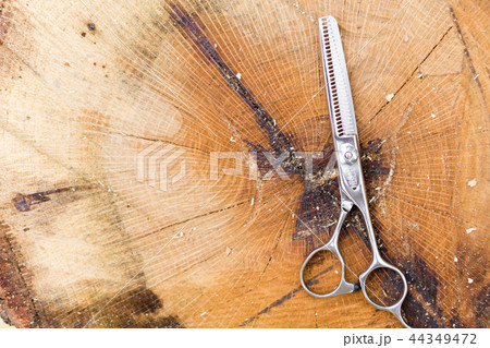 ハサミ　美容師 44349472