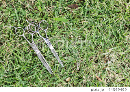 ハサミ 美容師 ハサミ 美容師 44349499