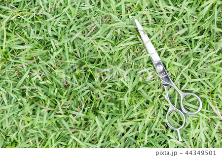 ハサミ　美容師 44349501