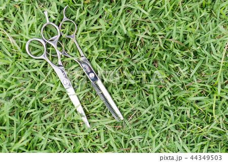 ハサミ　美容師 44349503