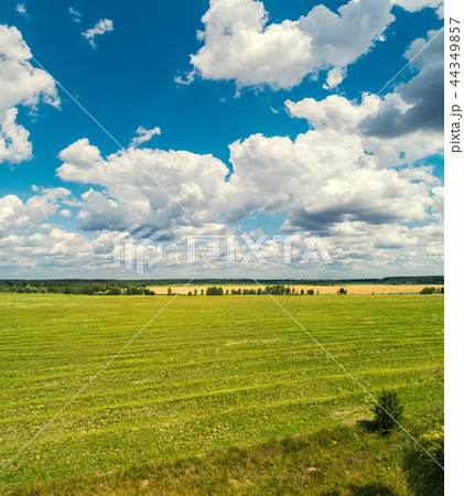 Aerial view of arable fields 44349857