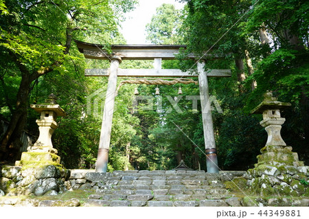 平泉寺白山神社　一の宮 44349881