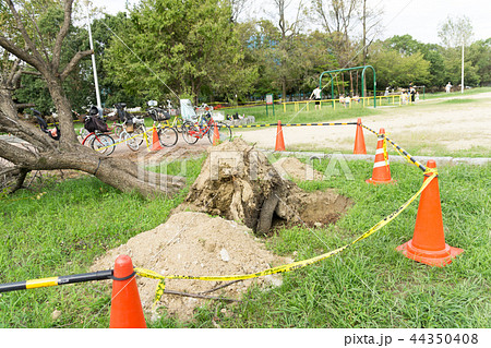 台風 災害 台風 災害 44350408