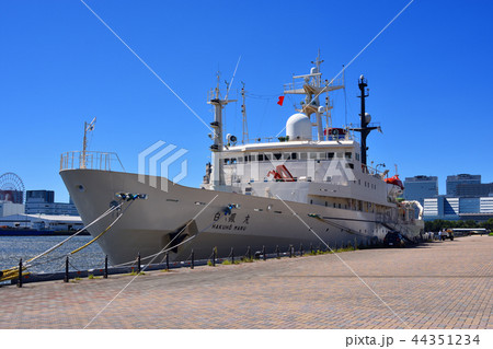 有明西ふ頭に停泊する学術研究船「白鳳丸」 44351234