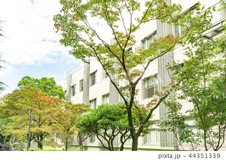 東京学芸大学 44351339