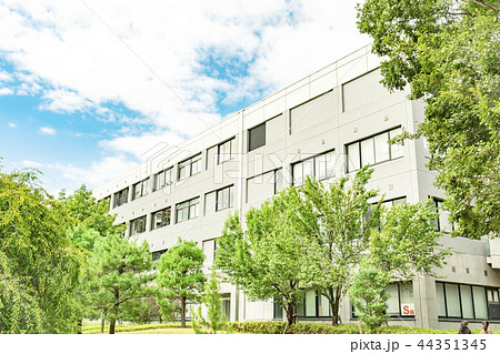 東京学芸大学 44351345
