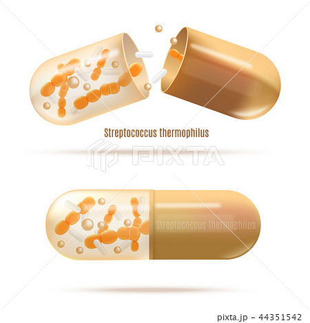 Medicines with Probiotic Bacteria Realistic Vector 44351542