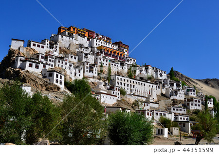 Thikse Monastery in Ladakh, India 44351599