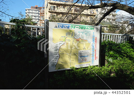 神田川 いきいきウォーク新宿のご案内 看板 神田川 いきいきウォーク新宿のご案内 看板 44352501
