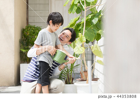親子 44353808