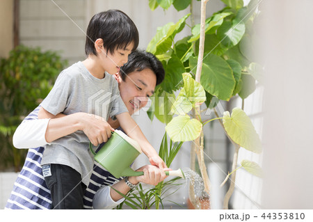 親子 親子 44353810