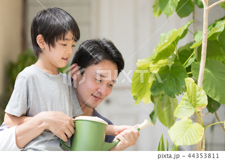 親子 親子 44353811