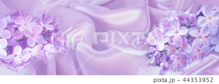 Pink-violet lilac flowers on the silk fabric 44353952