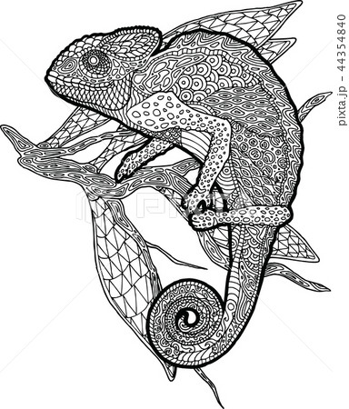 Coloring Book Page With Chameleon On The Branchのイラスト素材