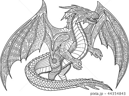 Coloring Book Page With Dragon On White Backgrounのイラスト素材